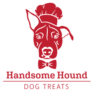 Team Page: Handsome Hound